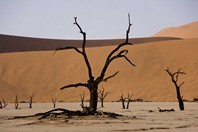 Namibia_Safari