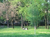 Park Ribnjak u Zagrebu